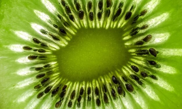 I’m Making Pumpkin Bread with Three Ingredients All Fall Long.