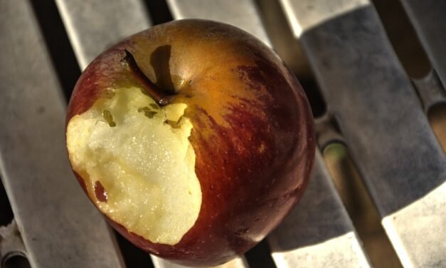 Rosemary Green Beans in Keto