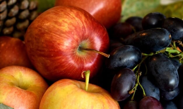 You’re Perhaps Breathing Wrong: Here’s How To Show & How To Prevent