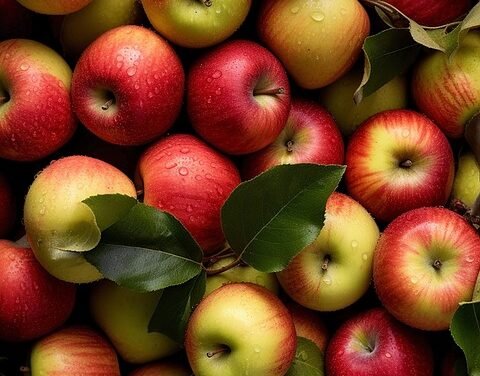 Easy Gochujang Chicken Bowls- The Healthy Maven