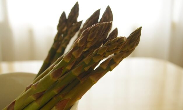 Meditation vs. Breathwork: Is One Better For Beating Stress?