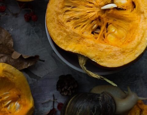 Keto Balsamic Grilled Zucchini