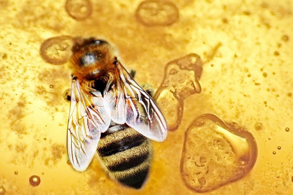 My Grandmother’s 1-Ingredient Upgrade for Cowboy Caviar