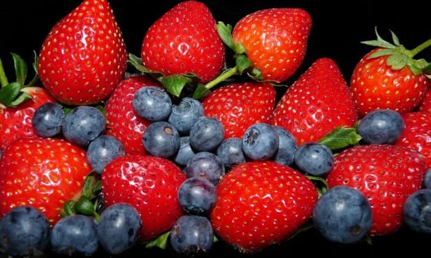 Keto Vegetable Omelet Recipe