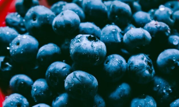 Keto Garlic Aioli Recipe- Keto Summit