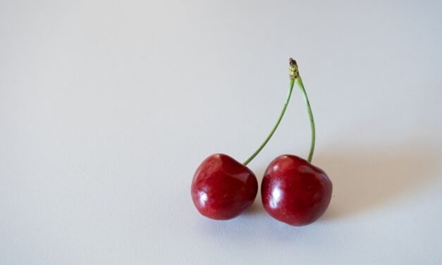 The 20 Best Stew Recipes for Fall