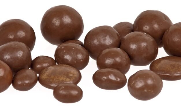 Keto” Pumpkin” Sandwiches Dish- Keto Summit