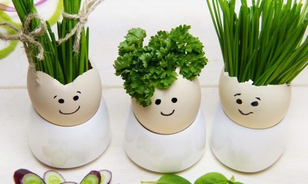 Keto Slow-Cooked Dijon Brussel Sprouts