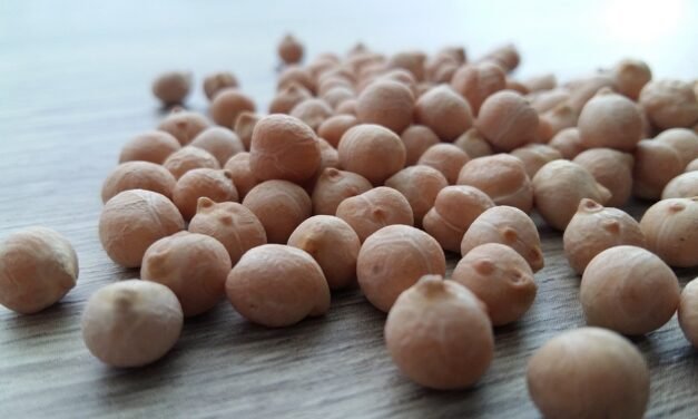 I Asked 3 Food Editors To Title the Best Store-Bought Stock, They All Said the Same Product