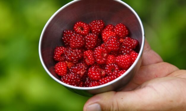 20 Easy Sides To Provide With Meat