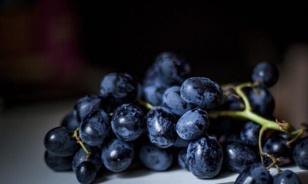 Get Dolly Parton’s Lodge Cast Iron Collection at Amazon, Up to 27 % Off