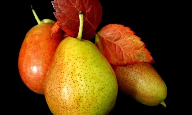 Recipe for ginger and ginger dish