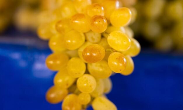 The Quickest Way to Make the Funniest Mashed Potatoes