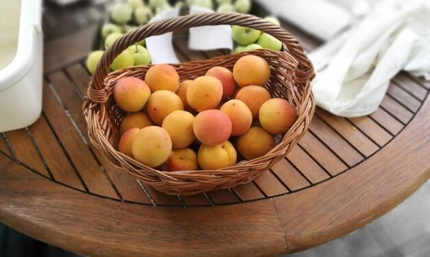 25 Greatest Pasta With Rooster Recipes (Every Below 30 Minutes)