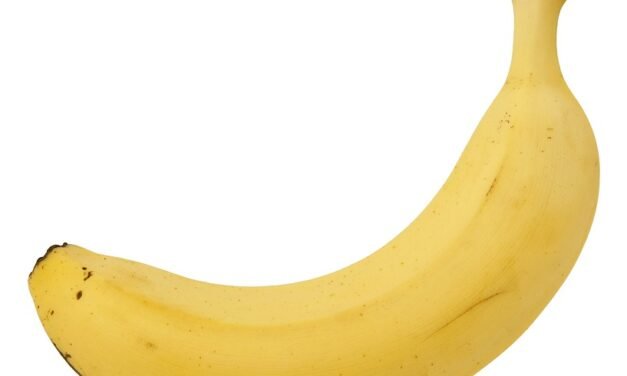 After a Traumatic Vaginal Birth, I Live with Bladder Leakage