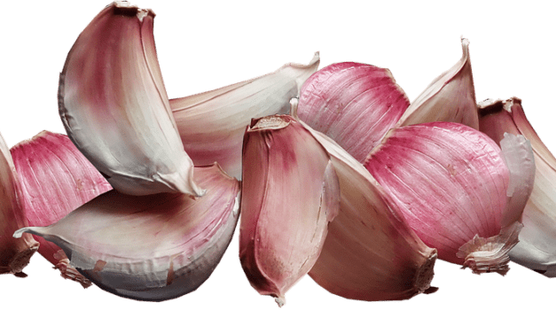 Keto Kohl-slaw Recipe