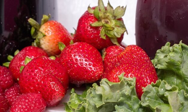 Lemony Sardine Pasta Recipe