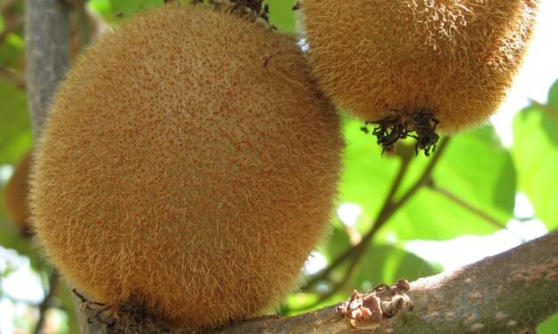 How To Be A Energy Partners In 6 Steps, From A Marriage Pro