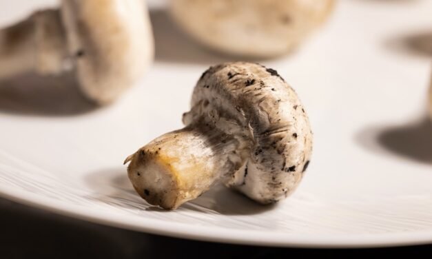 According to research, Your Cardiovascular Health Depends On This Daily Habit.