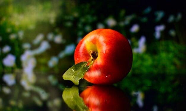 An Integrative Approach To GLP-1s? How’s What That Looks Like