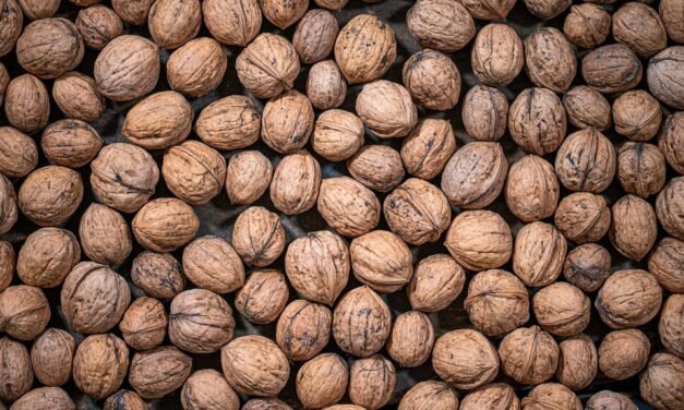 Why Had Your Regular Fatigue Be Caused By A Magnesium Deficiency?