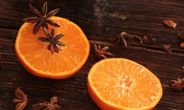 Keto Slow-Cooked Cranberry and Pork Roast