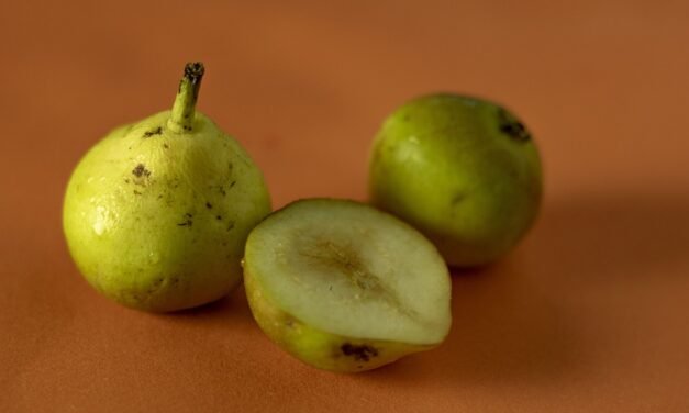 I’ve been making Martha Stewart’s Fall Soup for 25 times.