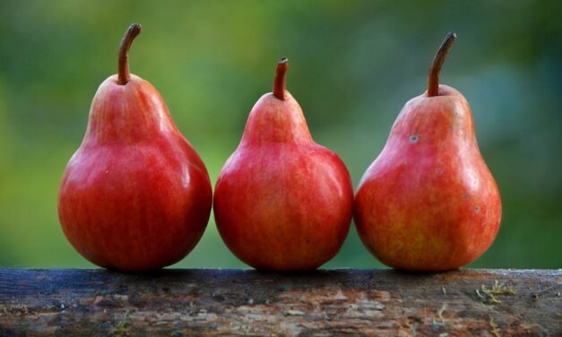 Potatoes O’Brien Recipe ( 25 Minutes )