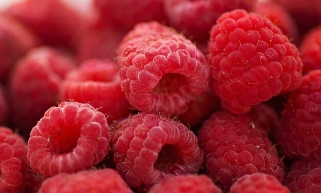 Joint Supplements for Active Seniors With Osteoarthritis