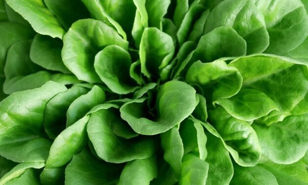 Recipe for Poached Eggs and Keto Spring Sauce