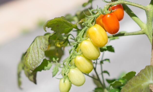 5 Sneaky Signs You May Have Metabolic Syndrome