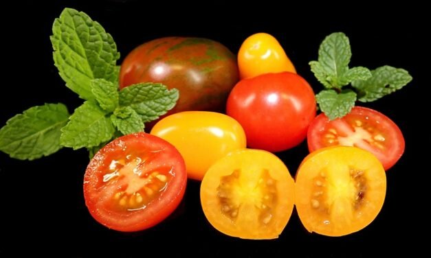 How a Food Editor Makes Dinner from a Bag of Dumplings