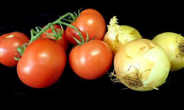 How to use magnetic nail polish to make silk claws