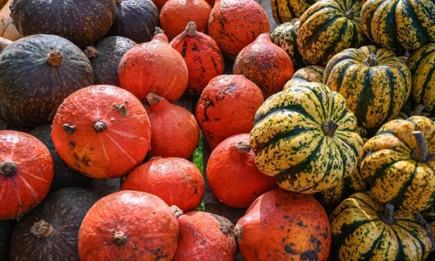 The Anti-Inflammatory Salad I’ll Get Making on Follow This Drop