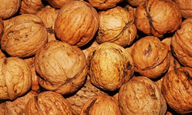 Assault Health AssaultBike Professional X Assessment (2024)