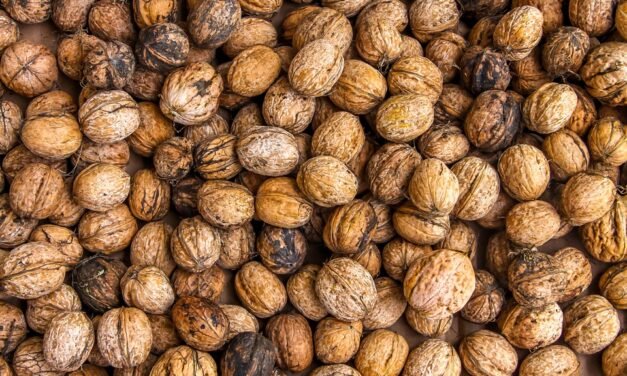 Keto Swirly Cinnamon Muffins