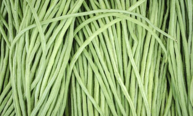 Chicken Romano Recipe ( 35 Minutes )