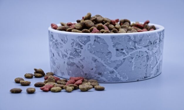 3 Mind Exercise Tips for Better Memory