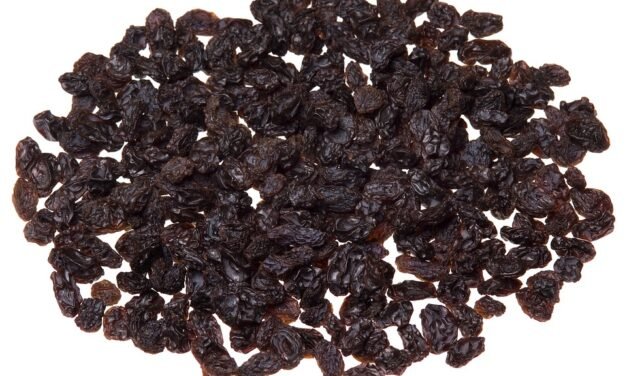 The$ 2.10 Family Dollar Discover I Only Wish I’d Found Sooner