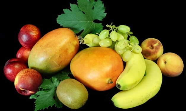 Which 3 New Trader Joe’s items are the best ones I purchased so far this quarter?