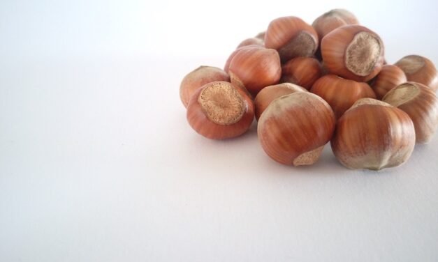 7-Day No-Sugar Meal Plan for Metabolic Syndrome