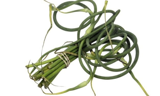 Alex Guarnaschelli Offers Her Great Sunday Dinner