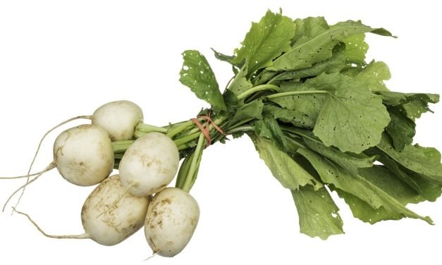 Our 15+ All-Time Favorite Pasta Dish Recipes