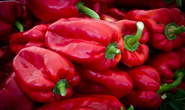 Questions and Answers About High Triglycerides