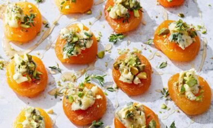 15+ Simple Appetizer Recipes That Are Prepared in 10 Minutes