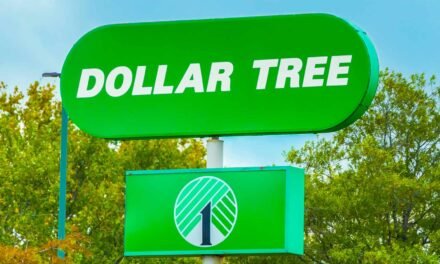 These 63-Cent Greenback Tree Storage Containers Are So Nice I am Shopping for a Cartful