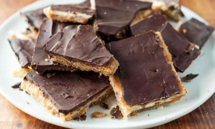 34 Vacation Cookies That Journey Effectively