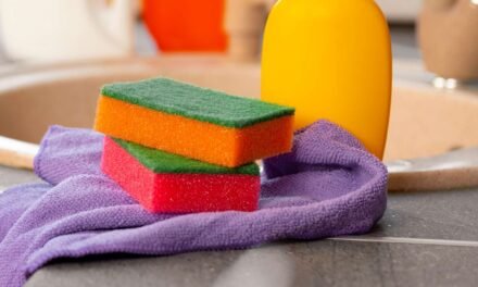 How Usually You Ought to Exchange Your Kitchen Sponges, In keeping with Specialists