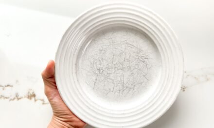 How to Revamp Scratched Dishes, Due to a Specialist