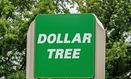 The $1.25 Greenback Tree Discover I am Shopping for From Now On